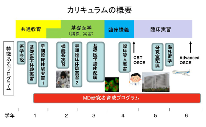 カリキュラムの概要