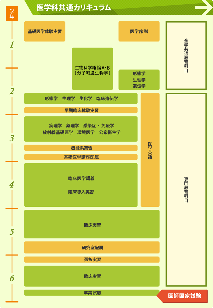 医学科共通カリキュラム