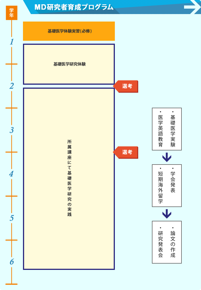 MD研究者育成プログラム